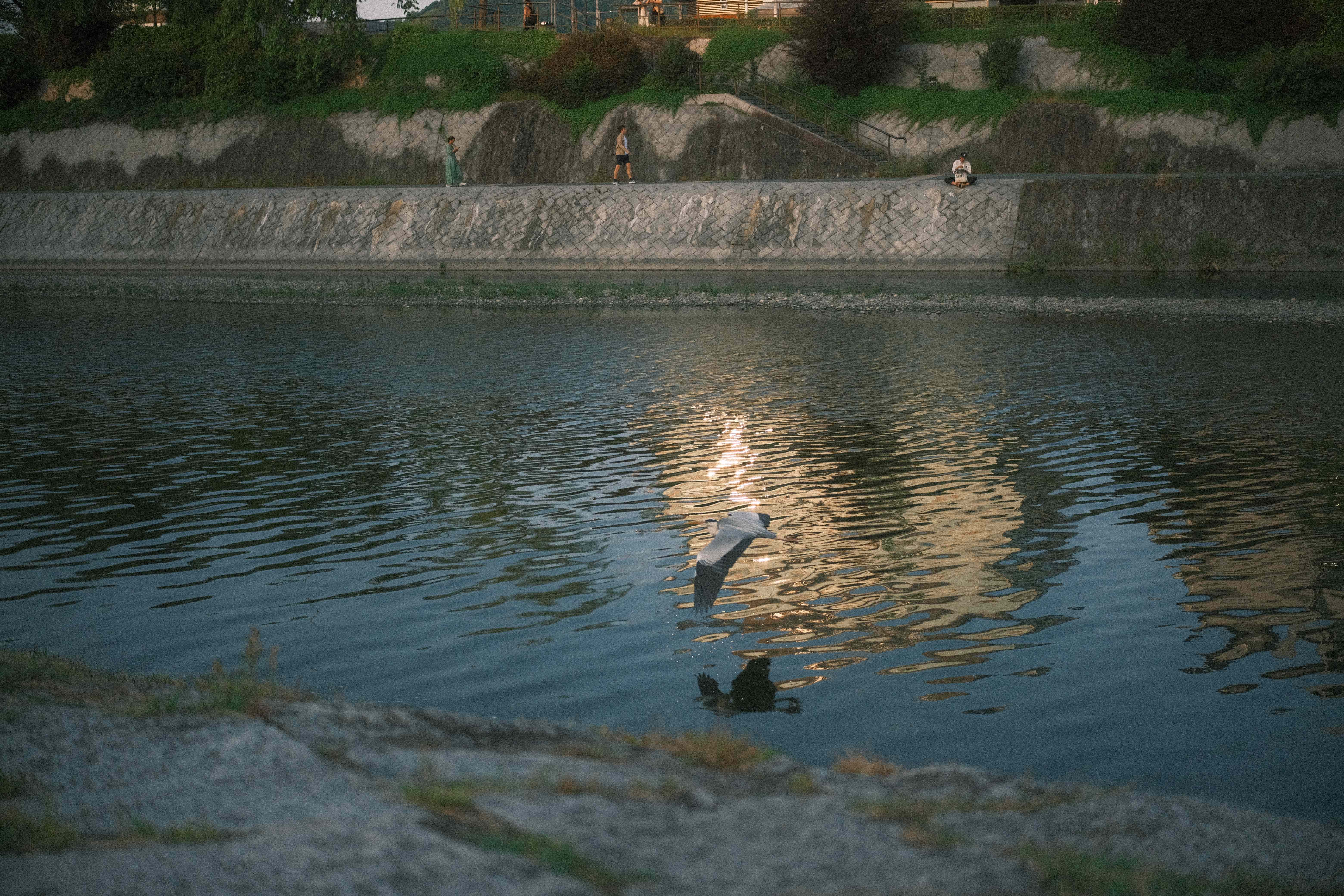 River Reflection